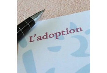 Adoptions en Seine-Maritime L'Igas pointe des mécanismes au détriment des célibataires et couples homosexuels