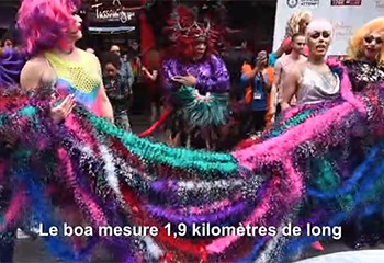 New York bat le record du monde du plus long boa en plumes