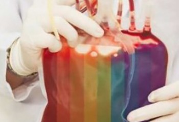 Repères Don du sang des homosexuels, de l'interdiction aux restrictions