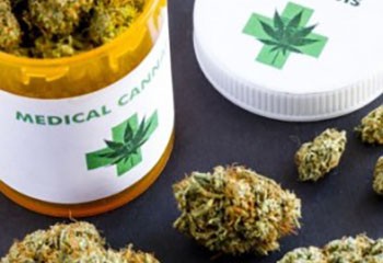 Le cannabis médical autorisé dans une trentaine de pays