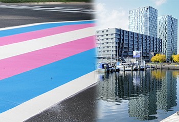 Aux Pays-Bas, un passage piéton est désormais aux couleurs du drapeau de la fierté trans
