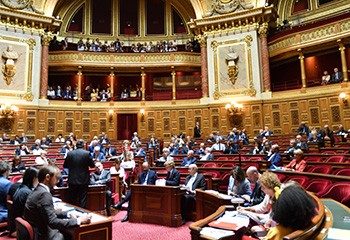 Lutte contre la haine en ligne : le Sénat veut détricoter le texte de l'Assemblée