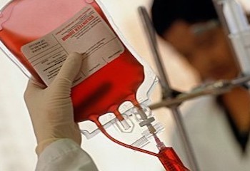 Don du sang : vers un assouplissement des règles pour les homosexuels