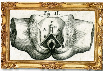 Le sexe des femmes, un monde d'hommes