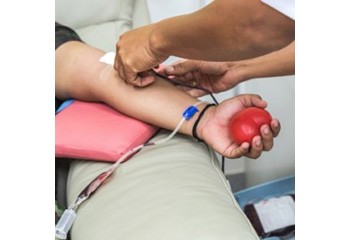 Don de sang L'Assemblée maintient la différence de traitement pour les donneurs homosexuels