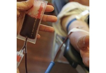 Don du sang En commission, les députés suppriment une discrimination touchant les donneurs homosexuels