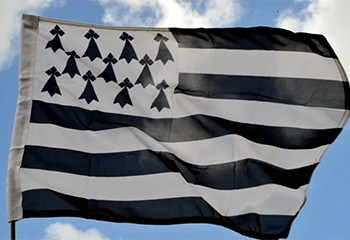 Brest : Six interpellations pour vols en réunion et violence.