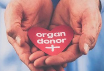 Le don d'organes autorisé entre personnes porteuses du VIH
