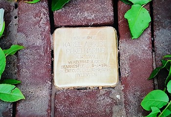Amsterdam : des plaques commémoratives dans une rue pour honorer les victimes gays du régime nazi