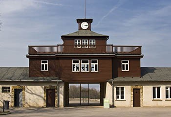 Allemagne : des arbres à la mémoire de victimes des nazis vandalisés au camp de Buchenwald
